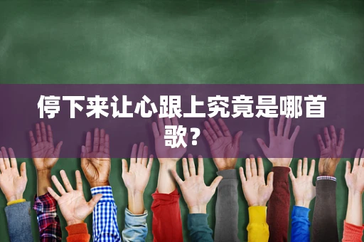 停下来让心跟上究竟是哪首歌？