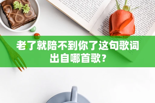老了就陪不到你了这句歌词出自哪首歌？