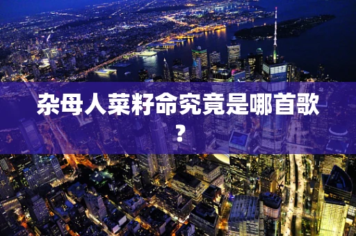 杂母人菜籽命究竟是哪首歌？