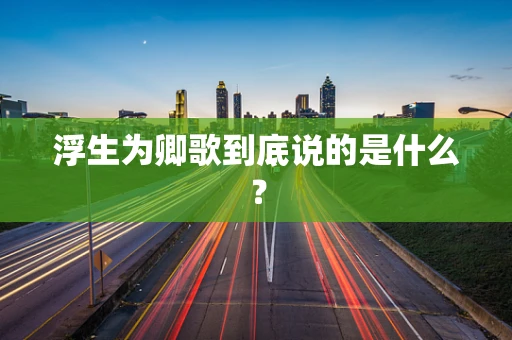 浮生为卿歌到底说的是什么？