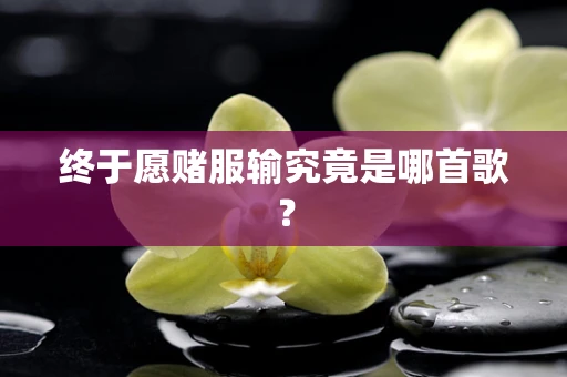 终于愿赌服输究竟是哪首歌？