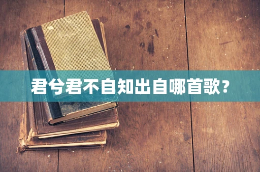 君兮君不自知出自哪首歌？