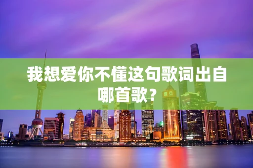 我想爱你不懂这句歌词出自哪首歌？