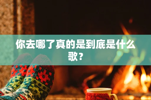 你去哪了真的是到底是什么歌？