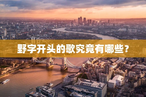 野字开头的歌究竟有哪些？