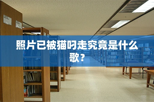 照片已被猫叼走究竟是什么歌？