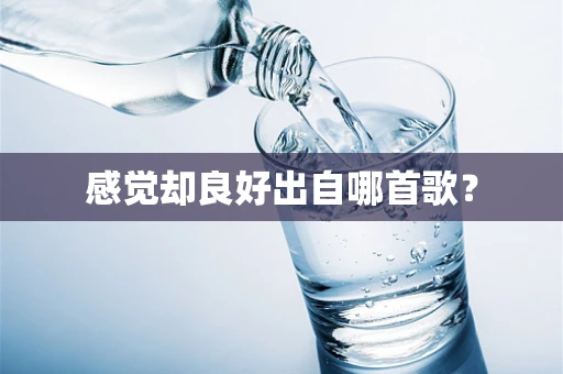 感觉却良好出自哪首歌？
