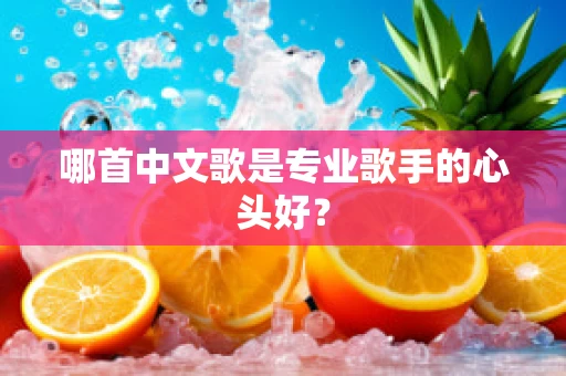 哪首中文歌是专业歌手的心头好？