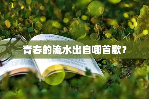 青春的流水出自哪首歌？