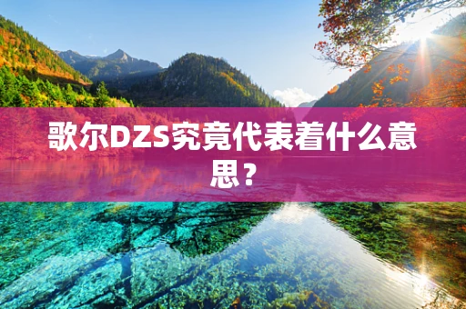 歌尔DZS究竟代表着什么意思？
