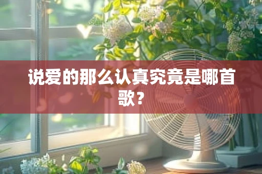 说爱的那么认真究竟是哪首歌？