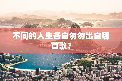 不同的人生各自匆匆出自哪首歌？