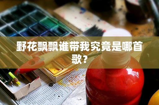 野花飘飘谁带我究竟是哪首歌？