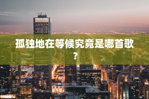 孤独地在等候究竟是哪首歌？