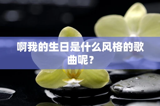 啊我的生日是什么风格的歌曲呢？