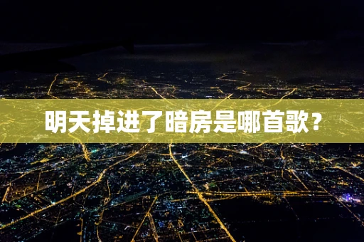 明天掉进了暗房是哪首歌？