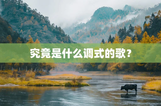 究竟是什么调式的歌？