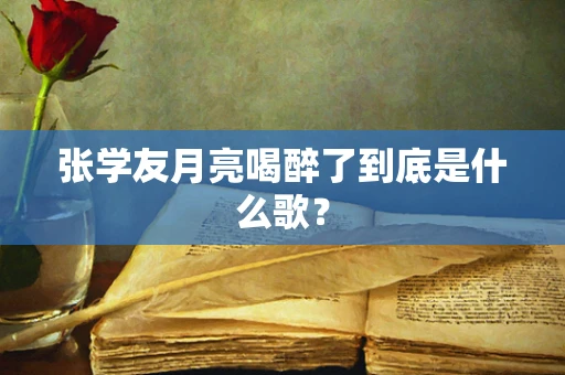 张学友月亮喝醉了到底是什么歌？