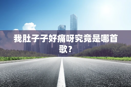 我肚子子好痛呀究竟是哪首歌？