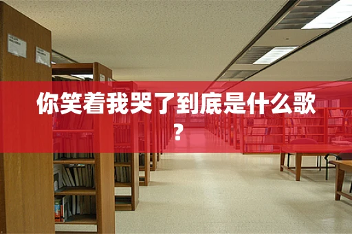 你笑着我哭了到底是什么歌？
