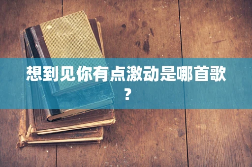 想到见你有点激动是哪首歌？