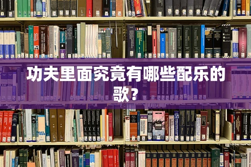 功夫里面究竟有哪些配乐的歌？