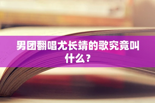 男团翻唱尤长靖的歌究竟叫什么？