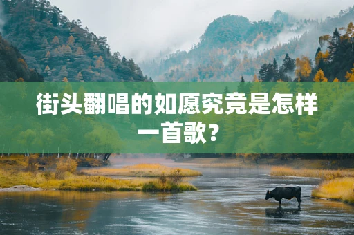 街头翻唱的如愿究竟是怎样一首歌？