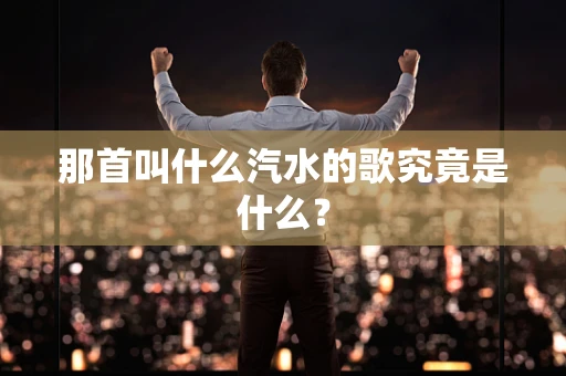 那首叫什么汽水的歌究竟是什么？