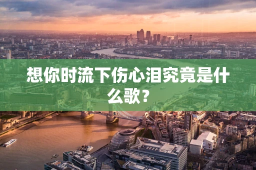 想你时流下伤心泪究竟是什么歌？