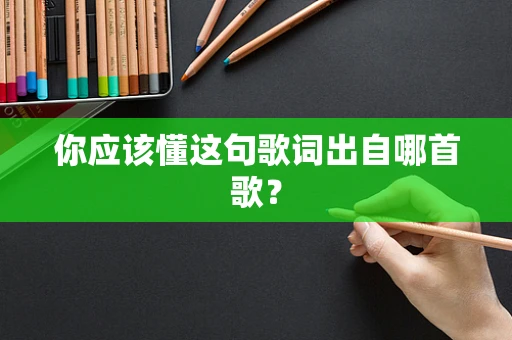 你应该懂这句歌词出自哪首歌？