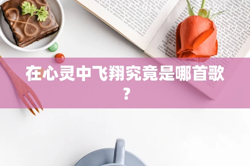 在心灵中飞翔究竟是哪首歌？