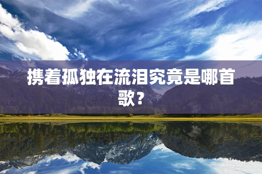 携着孤独在流泪究竟是哪首歌？