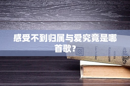 感受不到归属与爱究竟是哪首歌？