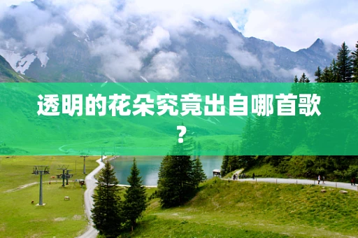 透明的花朵究竟出自哪首歌？