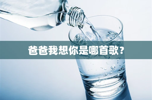 爸爸我想你是哪首歌？