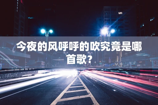 今夜的风呼呼的吹究竟是哪首歌？