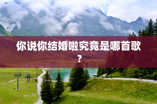 你说你结婚啦究竟是哪首歌？