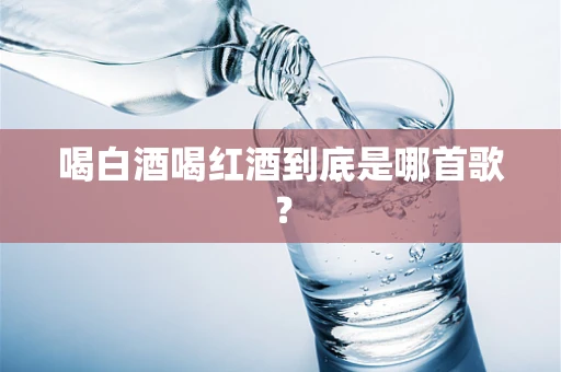 喝白酒喝红酒到底是哪首歌？