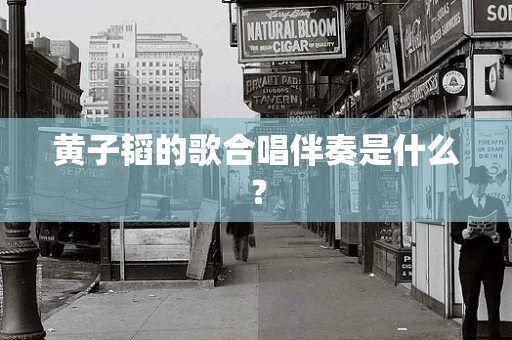 黄子韬的歌合唱伴奏是什么？