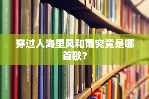 穿过人海里风和雨究竟是哪首歌？