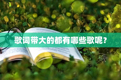 歌词带大的都有哪些歌呢？