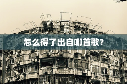 怎么得了出自哪首歌？