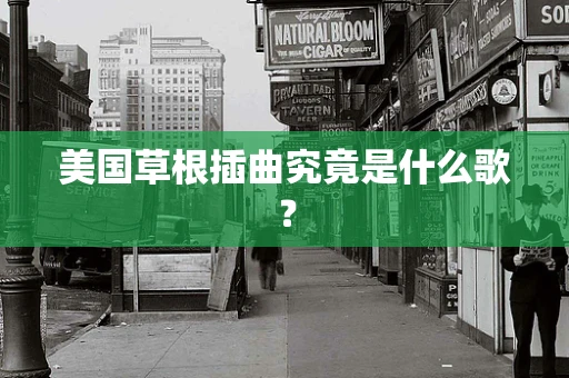 美国草根插曲究竟是什么歌？