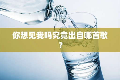 你想见我吗究竟出自哪首歌？