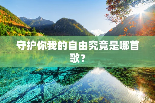 守护你我的自由究竟是哪首歌？