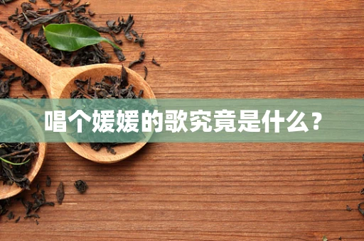 唱个媛媛的歌究竟是什么？