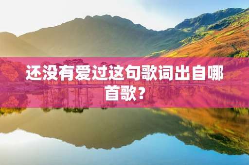 还没有爱过这句歌词出自哪首歌？