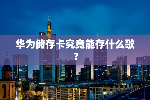 华为储存卡究竟能存什么歌？