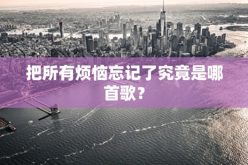 把所有烦恼忘记了究竟是哪首歌？